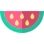 Watermelon icon 64x64