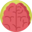 Brain biểu tượng 64x64