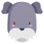 Schnauzer 图标 64x64
