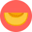 Melon icon 64x64
