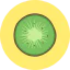 Kiwi icon 64x64