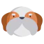 Shih tzu 图标 64x64