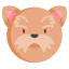 Yorkshire terrier 图标 64x64