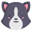 Border collie 图标 64x64