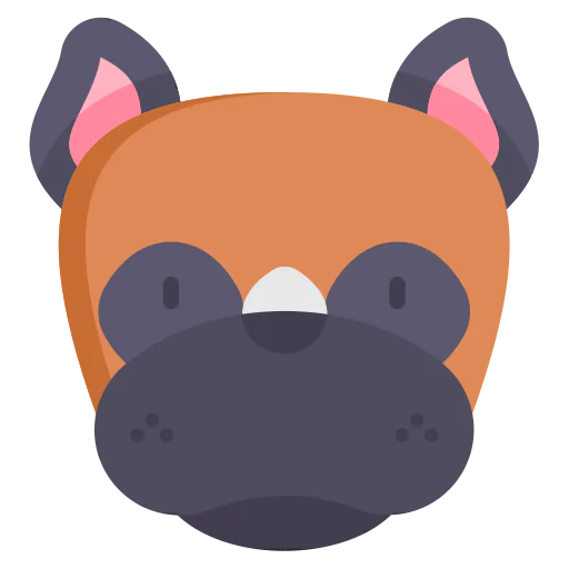 Boxer icon
