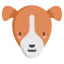 Jack russell terrier 图标 64x64