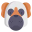 Saint bernard 图标 64x64