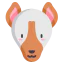 Ibizan hound 图标 64x64