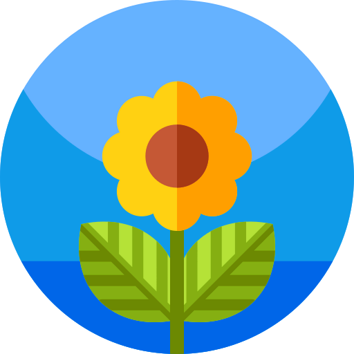 Spring 图标