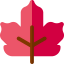 Maple leaf アイコン 64x64