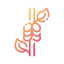 Beans Symbol 64x64