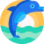 Dolphin icon 64x64
