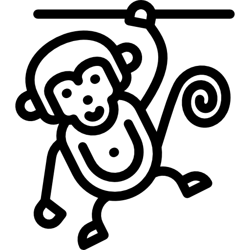 Circus Monkey icon