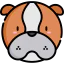 Bulldog 상 64x64