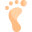 Footprint icon 64x64