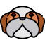 Shih tzu 상 64x64