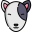 Bull terrier 상 64x64
