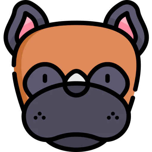 Boxer icon