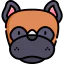 Boxer 상 64x64