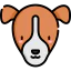 Jack russell terrier 상 64x64