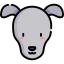 Greyhound 상 64x64