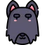 Scottish terrier 상 64x64