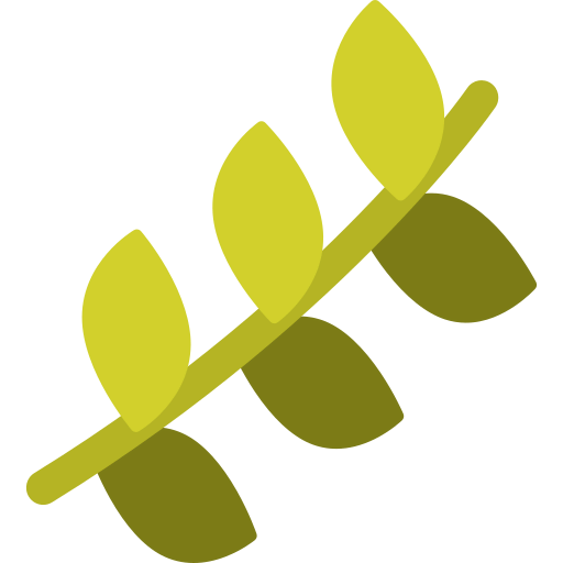 Branch icon