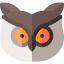 Owl biểu tượng 64x64