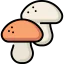 Mushrooms 图标 64x64