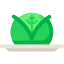 Cabbage іконка 64x64