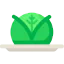 Cabbage icon 64x64