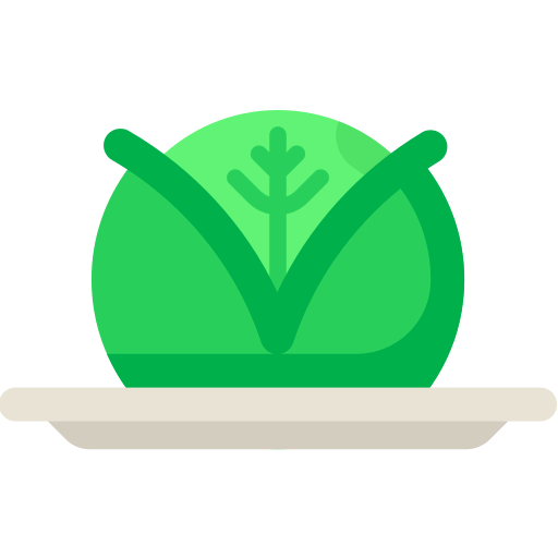 Cabbage icon