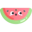 Watermelon icon 64x64