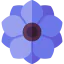 Anemone іконка 64x64