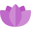 Lotus ícone 64x64