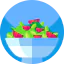 Salad icon 64x64