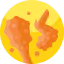 Fried chicken icône 64x64