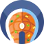 Salmon icon 64x64
