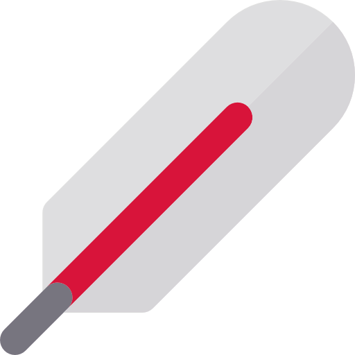 Thermometer icon