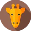 Giraffe 图标 64x64