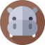 Hippopotamus 图标 64x64