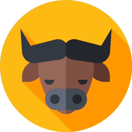 Buffalo icon