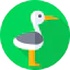 Stork icon 64x64