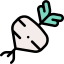Radish icon 64x64