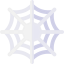 Spider web icon 64x64