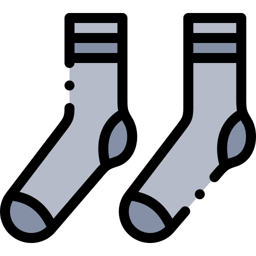 Socks icon