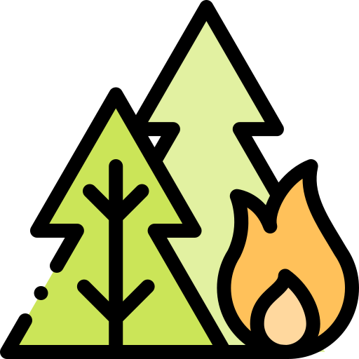 Forest fire icon