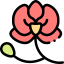 Orchid іконка 64x64