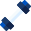 Dumbbells icon 64x64