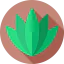Aloe vera biểu tượng 64x64